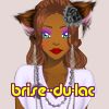 brise--du-lac