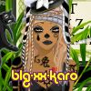 blg-xx-karo