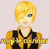 sanji-le-cuisinier