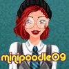 minipoodle09