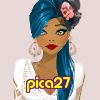 pica27