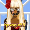 havanur55