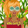 elicam3