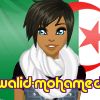 walid-mohamed