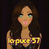 la-puce-57