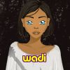 wadi