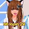 tit-lapin-29