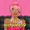 orchidee59