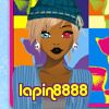 lapin8888