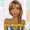 equilaptus