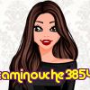 caminouche3854