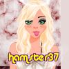 hamster37