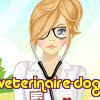 veterinaire-dog