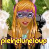 pleineluneloup