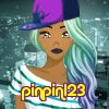 pinpin123