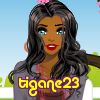 tigane23