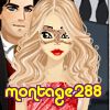 montage288