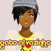 gato-alvazinho