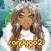 sandygo2